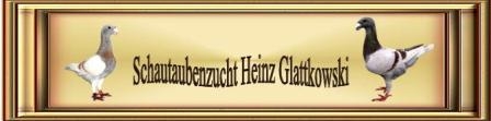 Banner Heinz3
