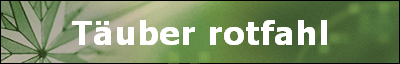 Tuber rotfahl